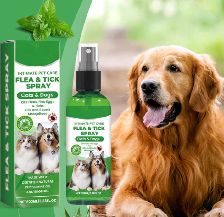 Flea & Tick Spray for Dogs & Cats (Pack of 2)